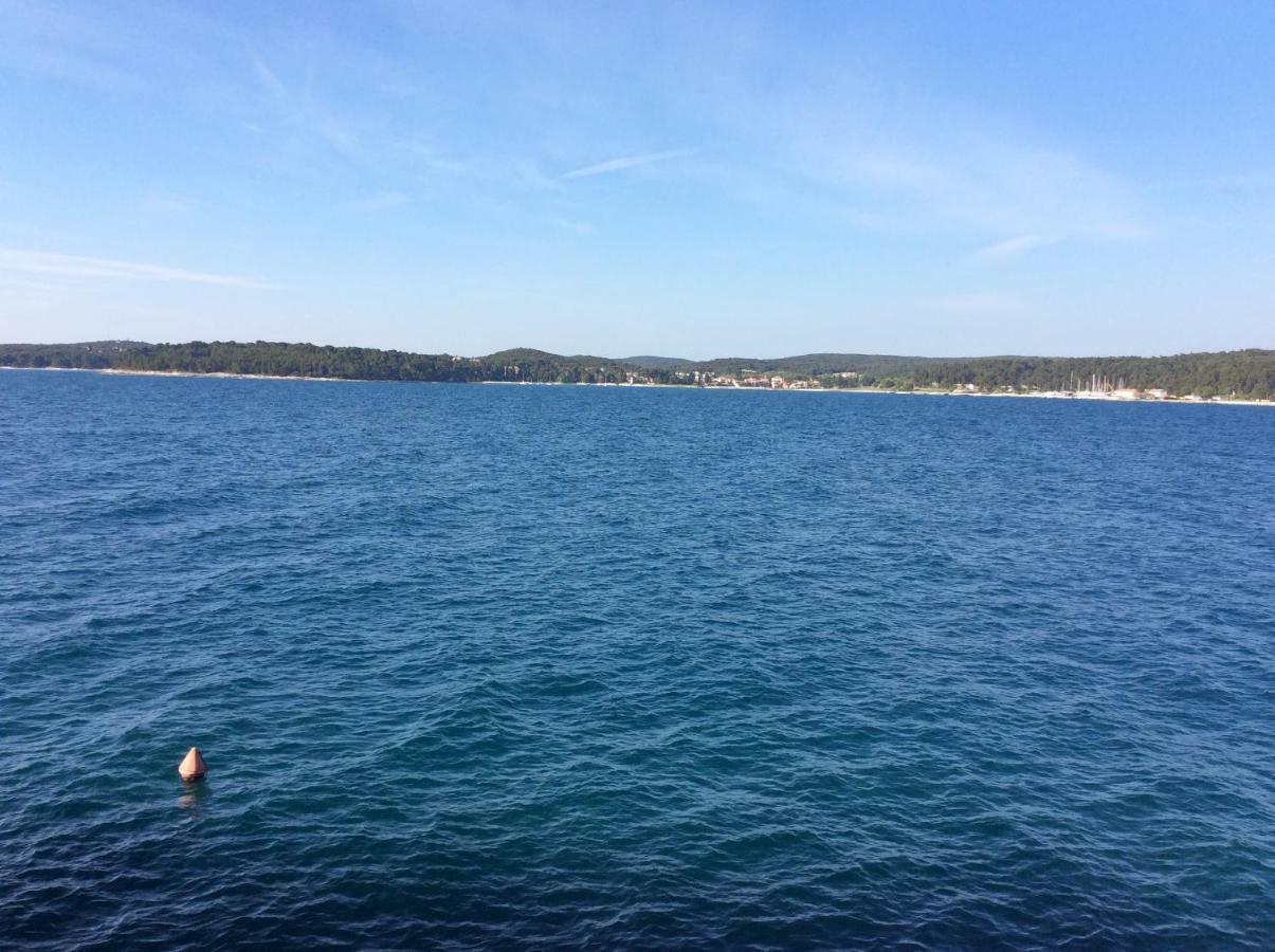 Svalbe * Rovinj